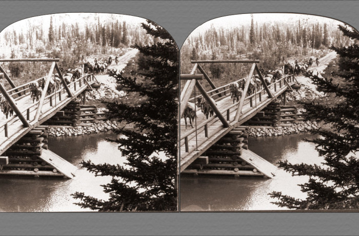 Pack Train Cross Bridge – Jasper Park